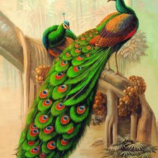 Схема вышивки «павлины»