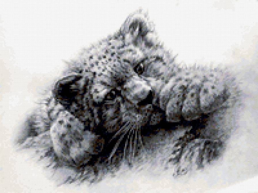 тигренок - животные - предпросмотр