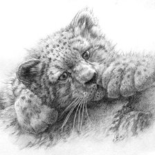 Схема вышивки «тигренок»