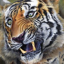 Схема вышивки «тигр»