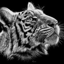 Схема вышивки «тигр»