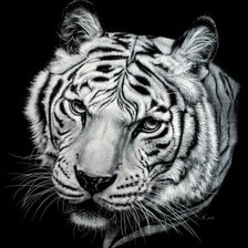 Схема вышивки «тигр»