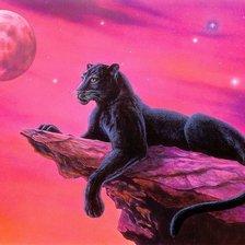 Схема вышивки «пантера»