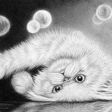 Схема вышивки «котик»