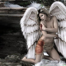 Схема вышивки «Раненый ангел»