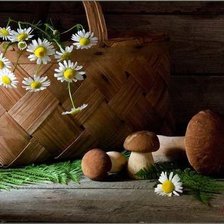 Схема вышивки «Натюрморт с грибами»