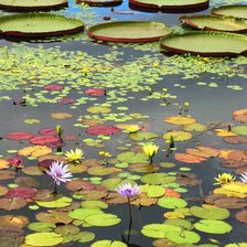 Схема вышивки «Пейзаж»