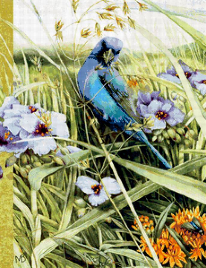 Птица счастья - красота.природа - предпросмотр