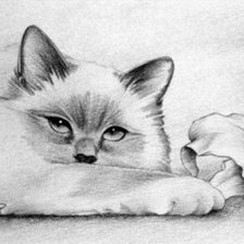 Схема вышивки «кот»