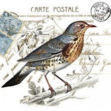 Схема вышивки «винтаж.»