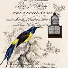 Схема вышивки «винтаж.»