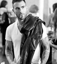 Схема вышивки «Адам Ливайн»