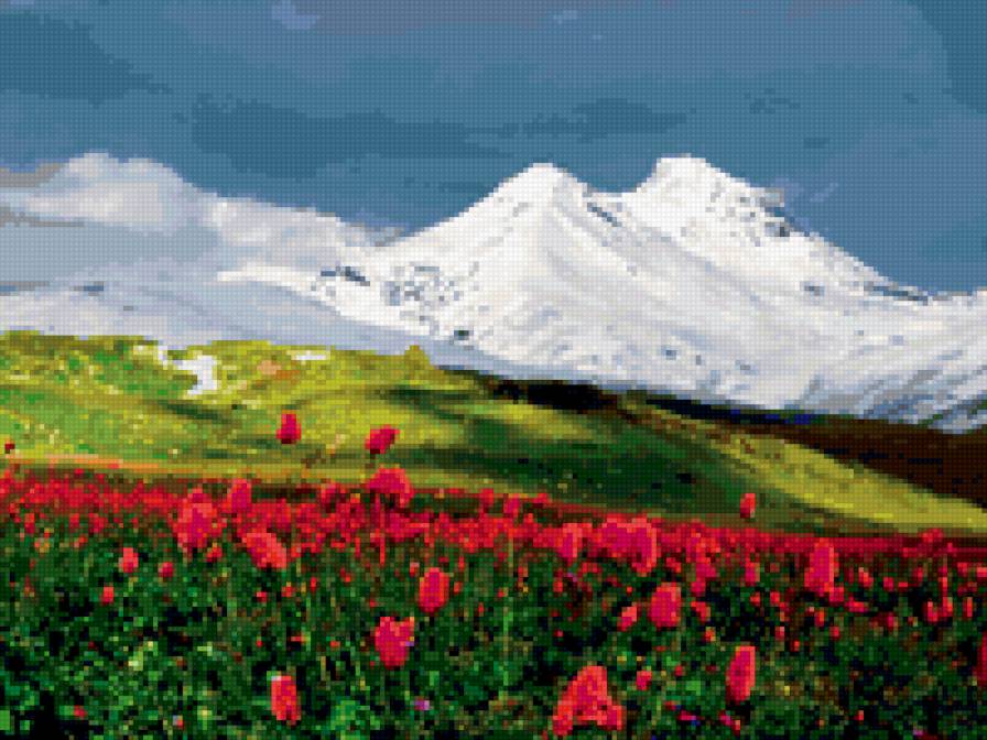поляна - тюльпаны, горы, пейзаж - предпросмотр