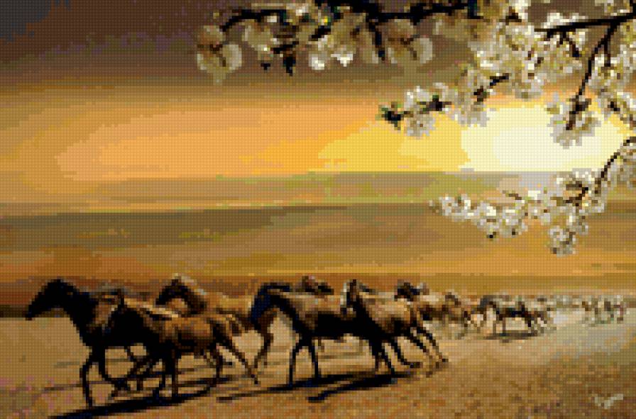 табун на закате - природа, лошади - предпросмотр