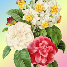 Схема вышивки «георгины»