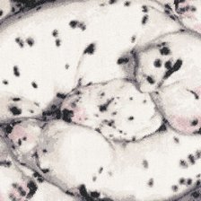 101 далматинец