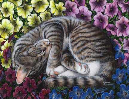 кот - кошки - оригинал