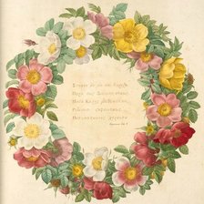 Схема вышивки «Цветы»