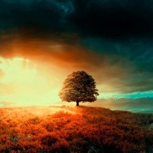 Схема вышивки «dreams»