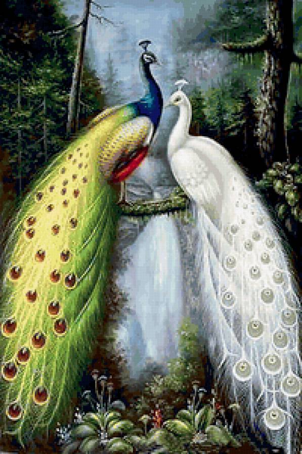 Павлины в лесу - павлины, птицы - предпросмотр