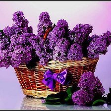 Схема вышивки «№343134»