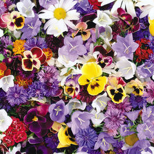 Схема вышивки «№343140»