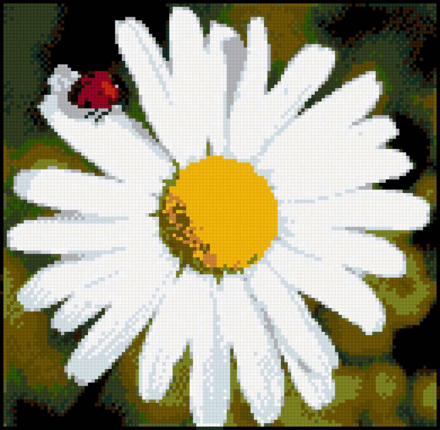 Ромашка - цветок, природа, ромашка, цветы - предпросмотр