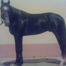 Схема вышивки «тикуля»