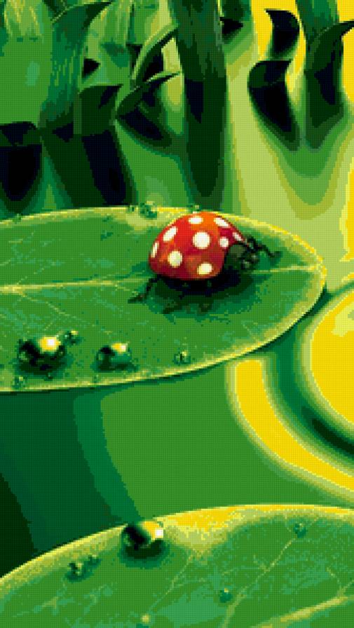 Божья коровка - божья коровка - предпросмотр