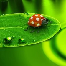 Схема вышивки «Божья коровка»