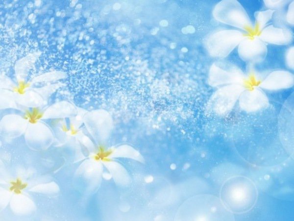 Подушка - цветы, подушка - оригинал