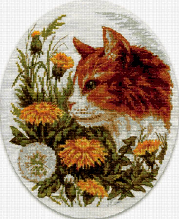 №343473 - кошка, одуванчики, домашние любимцы, цветы - предпросмотр