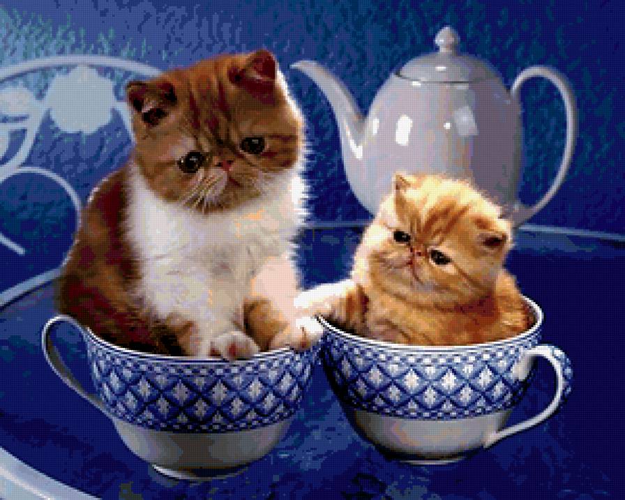 №343483 - предпросмотр