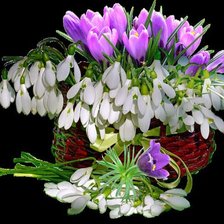 Схема вышивки «№343492»