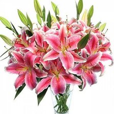 Схема вышивки «№343497»