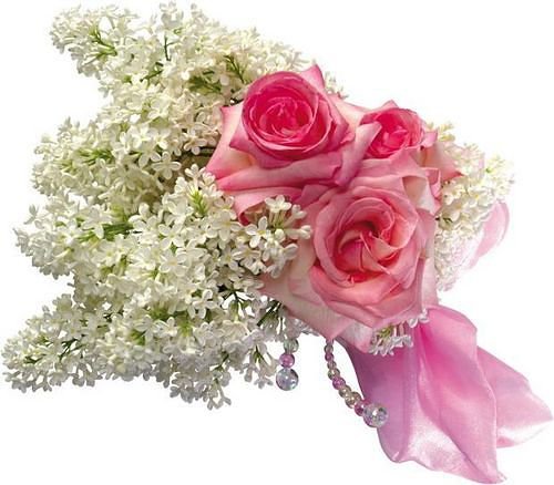 №343503 - оригинал