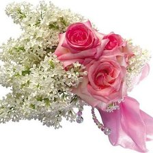 Схема вышивки «№343503»