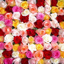 Схема вышивки «№343510»