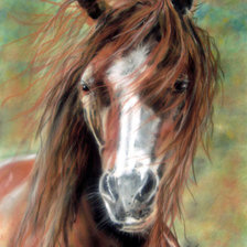 Схема вышивки «красавец»