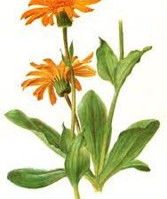 Схема вышивки «№343822»