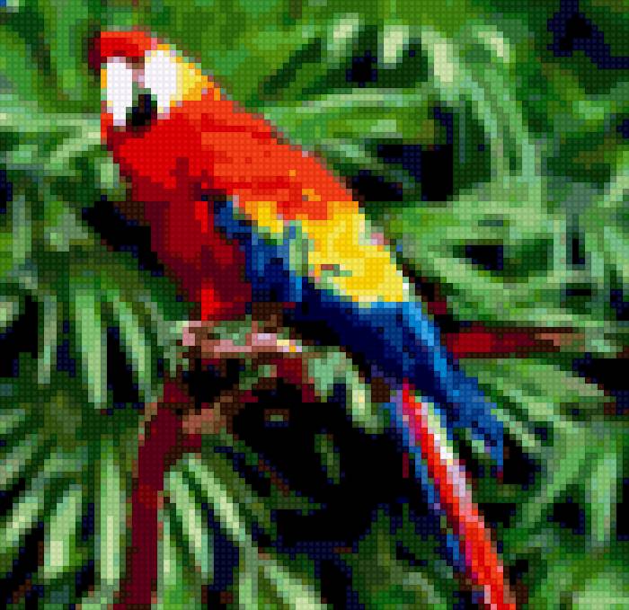 popugajchik - zanavesochka - предпросмотр