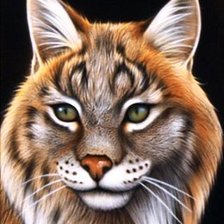 Схема вышивки «№343921»