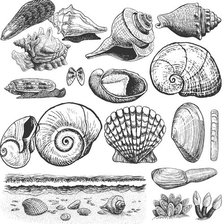 Схема вышивки «раковины»