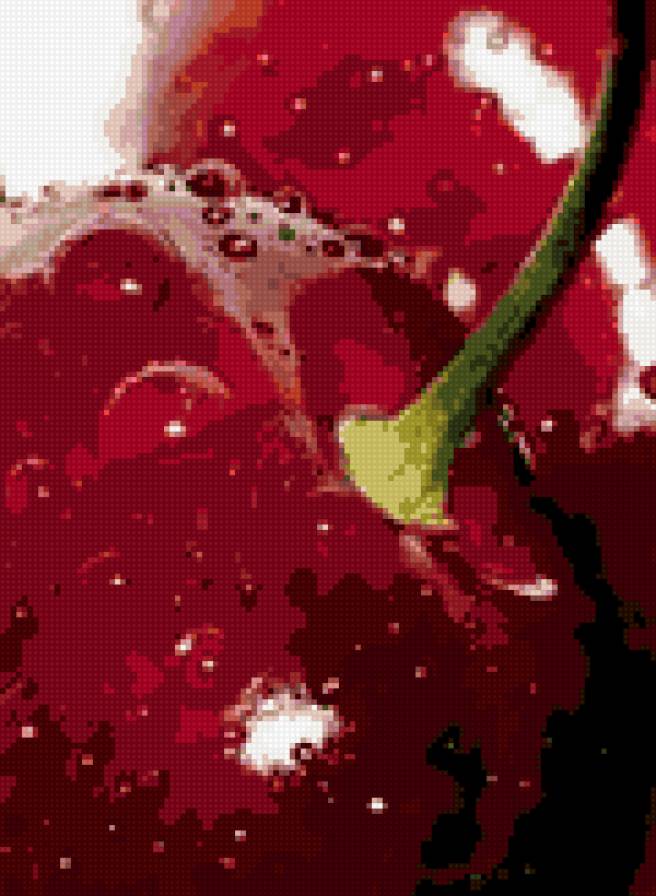 Вишня - вишня, ягоды, фрукты - предпросмотр