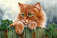 Схема вышивки «Котик»