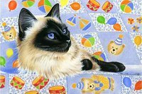 Схема вышивки «Киса»