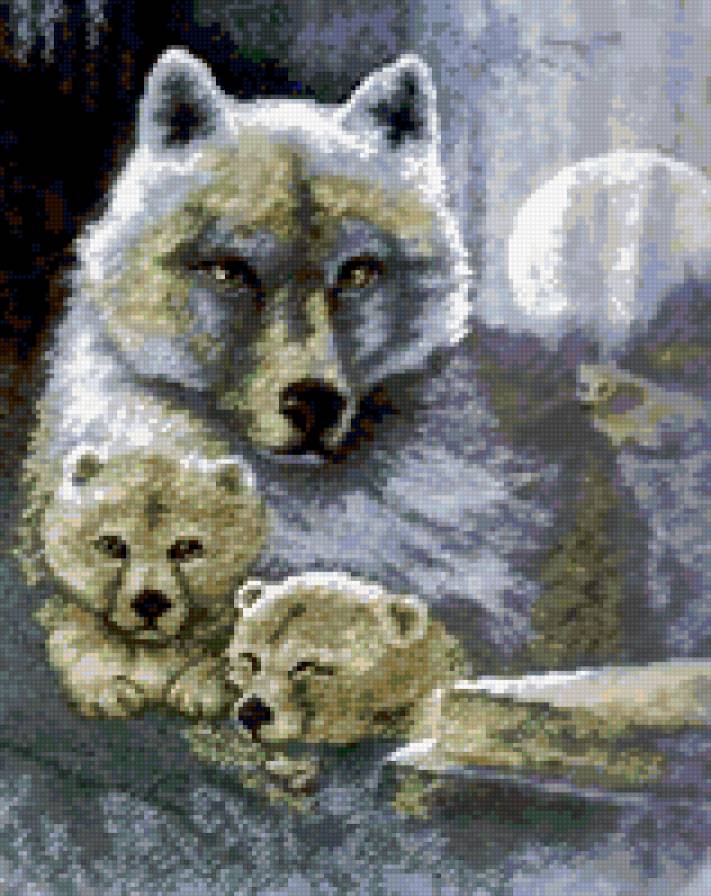 Белые волки - животные, волки - предпросмотр