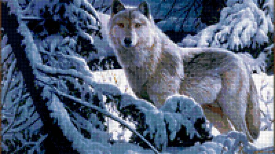 Белый волк - животные, волк - предпросмотр