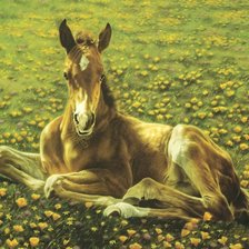 Схема вышивки «0091»