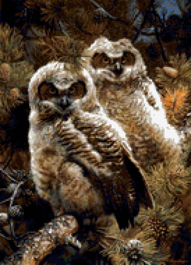 0093 - картина, природа, птицы, красота, сова - предпросмотр